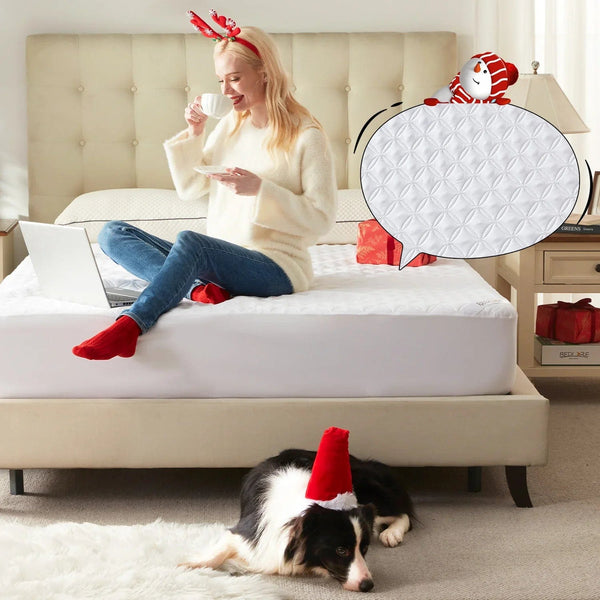 Bedlore® Waterproof Skin-friendly Noiseless Solid Color Luck Charm Print Mattress Protector