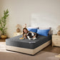 Bedlore® Breathable Mattress Cover with Waterproof and Noiseless Fabric