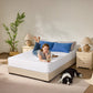 Bedlore® Breathable Mattress Cover with Waterproof and Noiseless Fabric