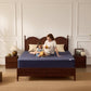 Bedlore® Skin-Friendly Waterproof Mattress Protector with Deep Pocket