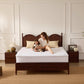 Bedlore® Skin-Friendly Waterproof Mattress Protector with Deep Pocket