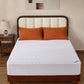 Bedlore® Breathable Mattress Cover with Waterproof and Noiseless Fabric