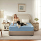 Bedlore® Skin-Friendly Waterproof Mattress Protector with Deep Pocket