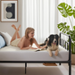 the waterproof prismatic print noiseless mattress protector is pet-friendly, white
