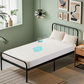 Bedlore single bed waterproof  solid color prismatic print noiseless mattress protector, white