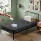 Bedlore single bed waterproof  solid color prismatic print noiseless mattress protector, gray