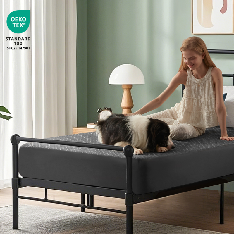 the waterproof noiseless mattress protector is pet-friendly, gray