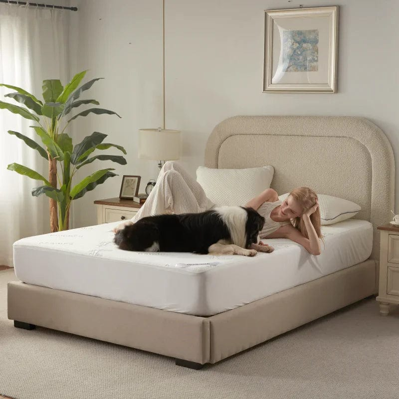this bamboo fabric waterproof mattress protector is pets-friendly, white