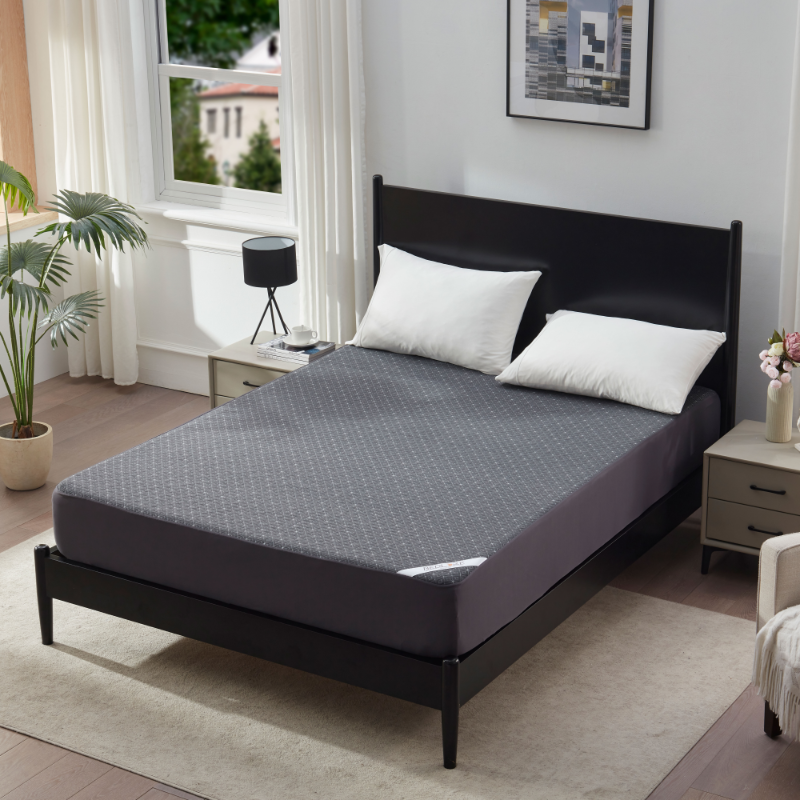Bedlore waterproof noiseless deep pocket solid color prismatic print mattress protector, gray