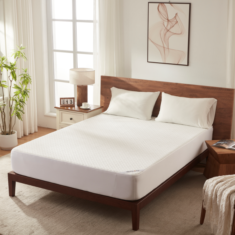 Bedlore waterproof noiseless deep pocket solid color prismatic print mattress protector, white