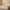 Bedlore® Thick Tencel Blend Mattress Topper