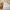 Bedlore® Thick Tencel Blend Mattress Topper