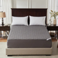 Bedlore waterproof skin-friendly noiseless solid color good luck charm print mattress protector, gray